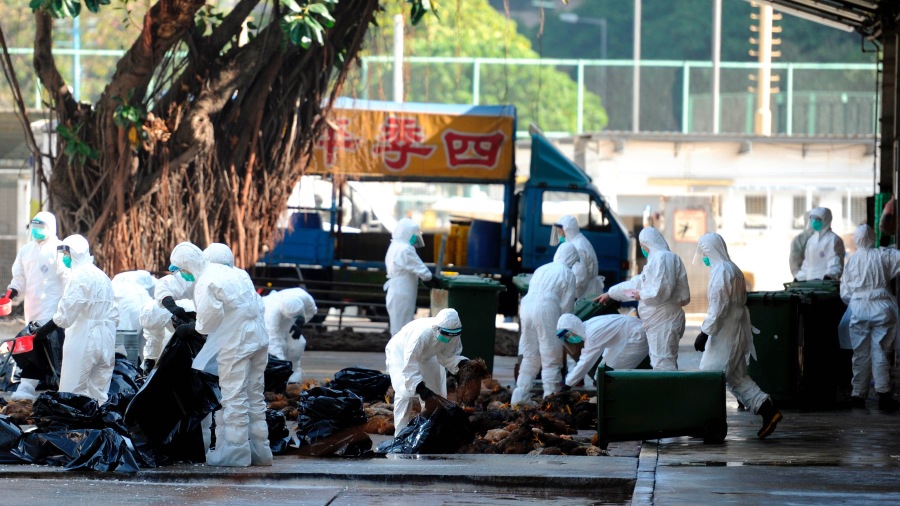 中国南方爆发流感  抗病毒药广州卖断货 (图)