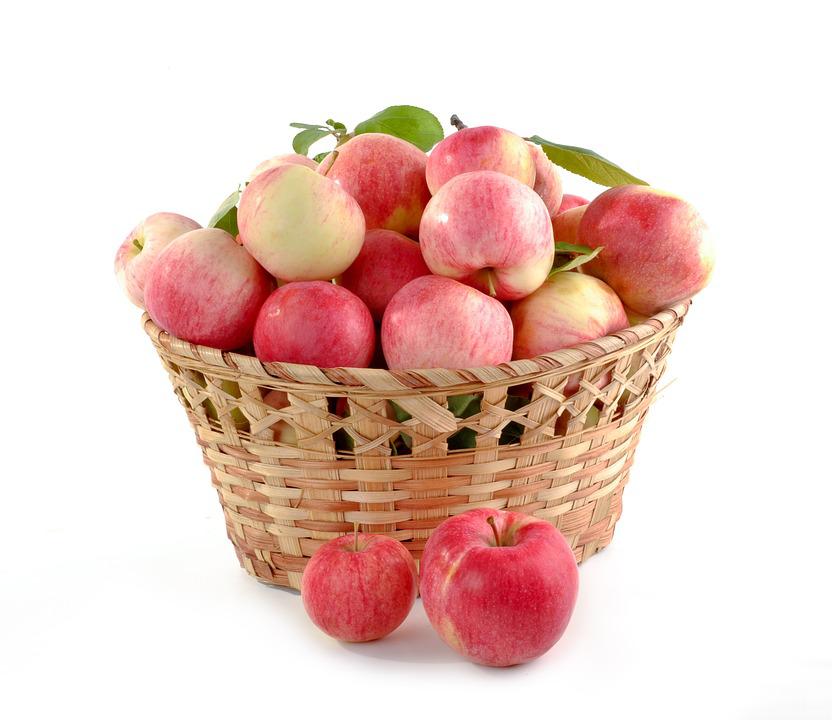 (图片来源:Pixabay)