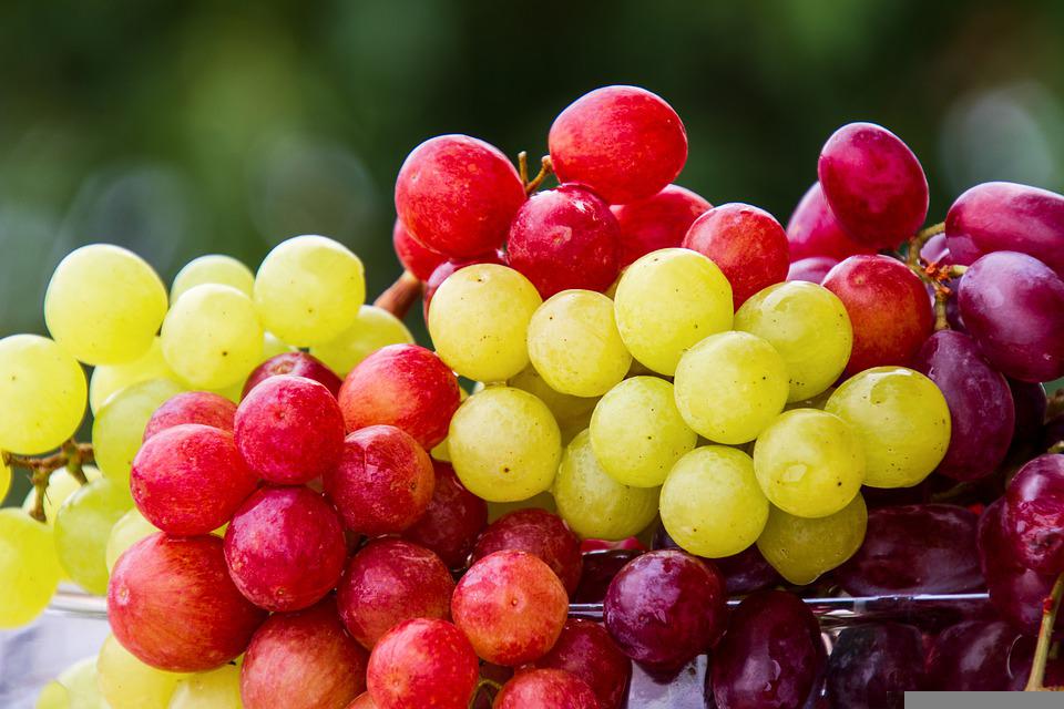 (图片来源:pixabay)