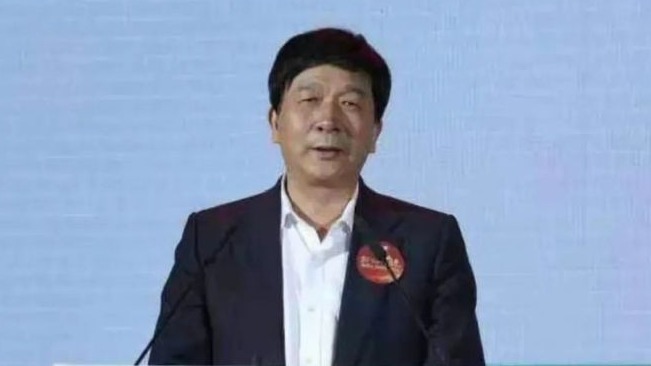 芯片泡沫被戳破  大基金总裁丁文武等多人落马 (图)
