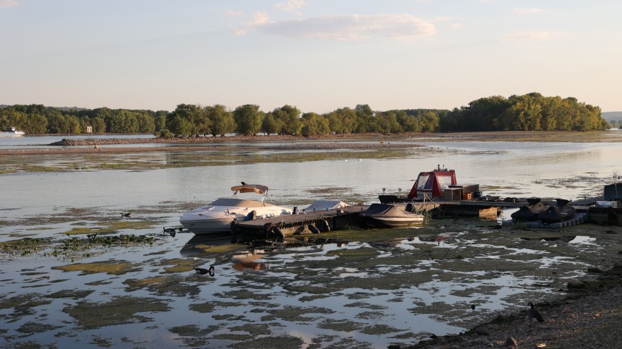 8月12日,德国奥斯特里希温克尔(Oestrich Winkel)附近莱茵河水(Rhine River)位低于40厘米,船舶运输越来越困难。(图片来源:YANN SCHREIBER/AFP/Getty Images)