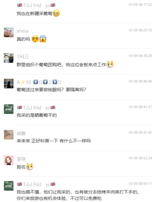 有人说 “ 我也在新疆采葡萄 ”。(图片来源:网路截图)