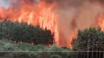 桂林突发重大山火  传有人丧生封锁消息压热搜 (组图/视频)