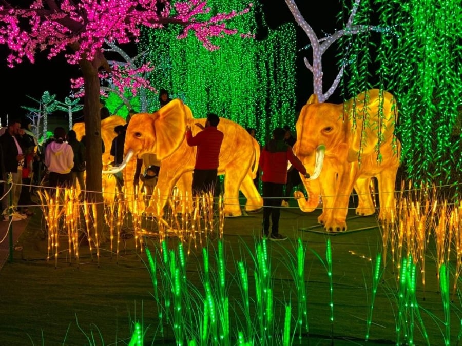 加拿大密西沙加举办世界最大灯展illumi。(图片来源:辛迪提供)