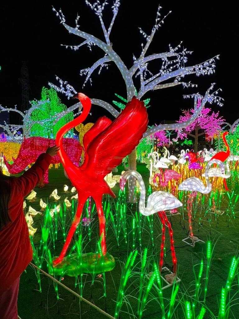 加拿大密西沙加举办世界最大灯展illumi。(图片来源:辛迪提供)