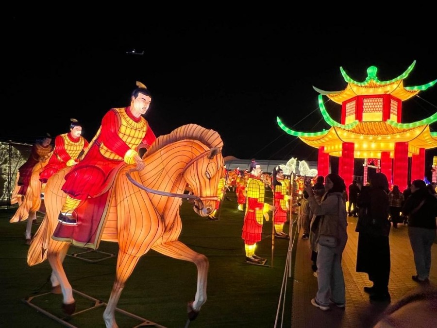 世界最大灯展在密西沙加大放异彩 2 (组图)