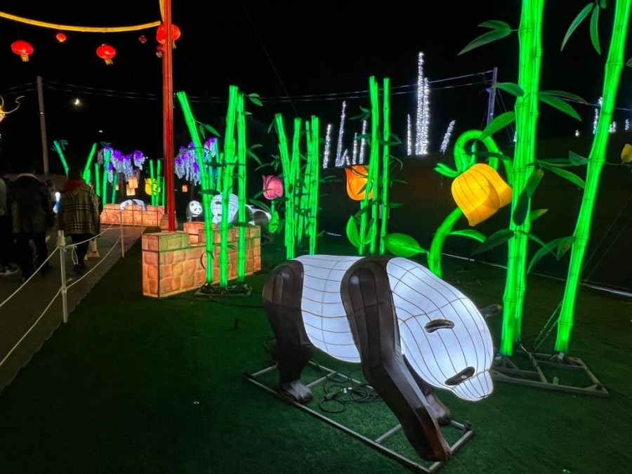 加拿大密西沙加举办世界最大灯展illumi。(图片来源:辛迪提供)