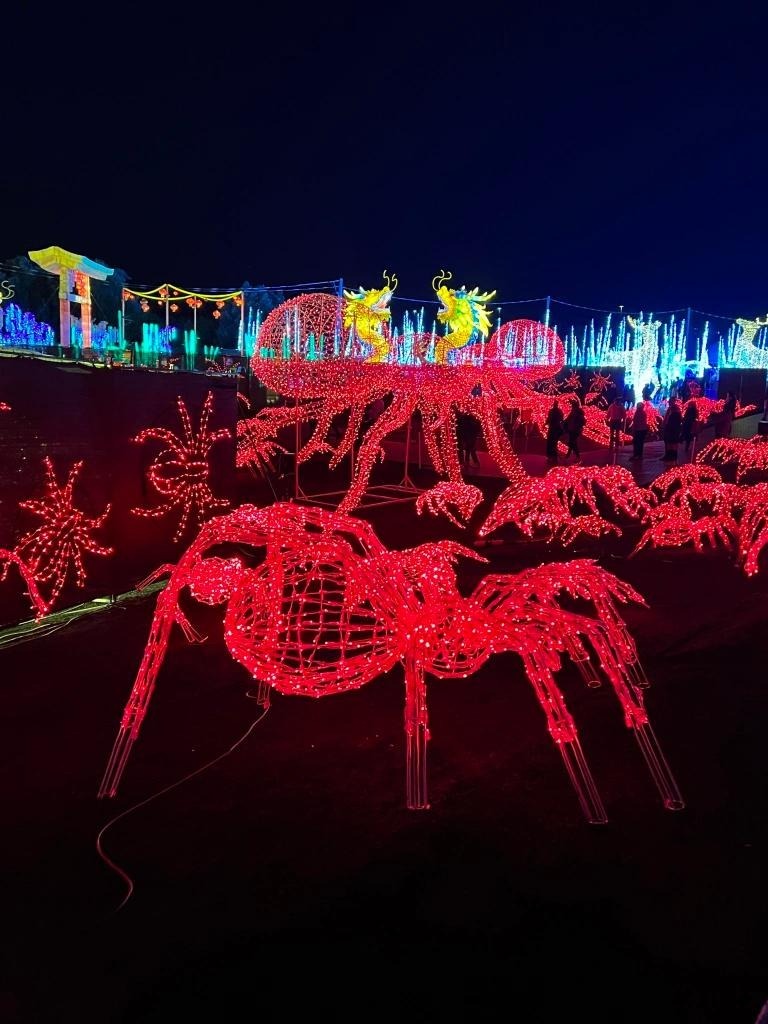 加拿大密西沙加举办世界最大灯展illumi。(图片来源:辛迪提供)