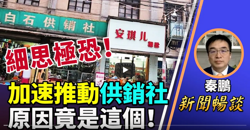 (图片来源:视频截图)