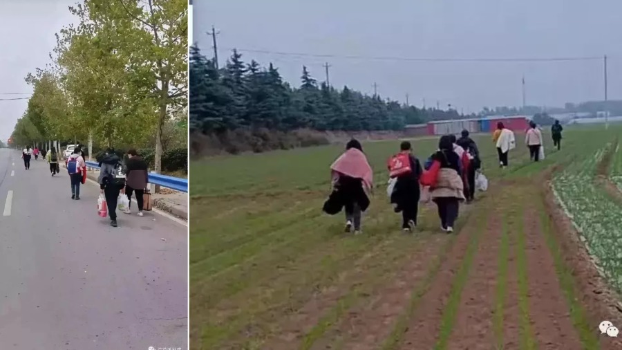 近日郑州富士康员工大逃亡,连夜徒步高速路。(图片来源:网络截图)