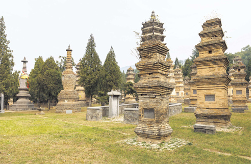 河南登封少林寺塔林 / 中国著名古佛塔之九