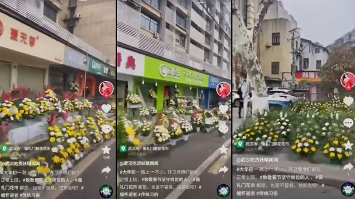 中国新年期间湖北菊花卖到断货