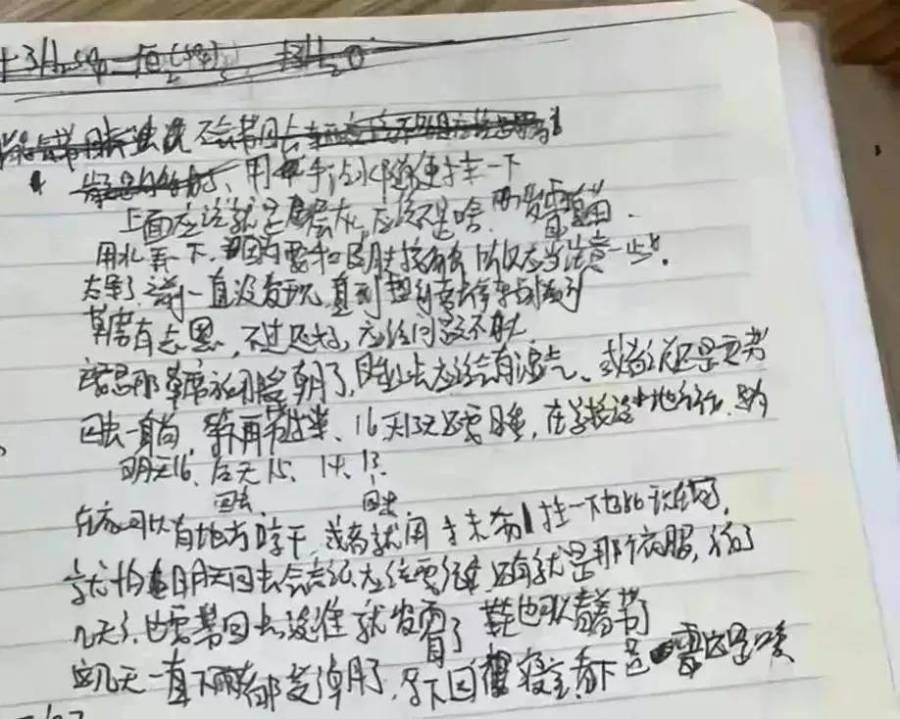 外科医生发现胡鑫宇日记中重要线索 (图/视频)
