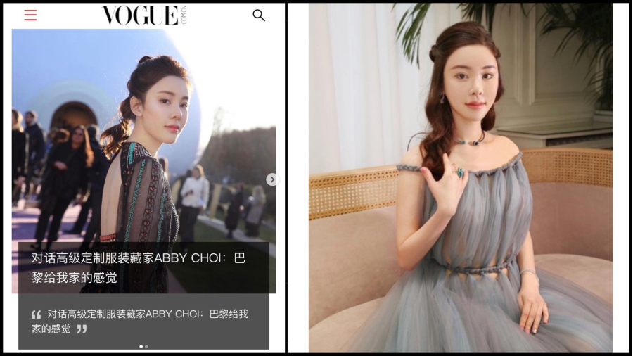 分析：为洗黑钱 蔡天凤要做名媛？(组图)