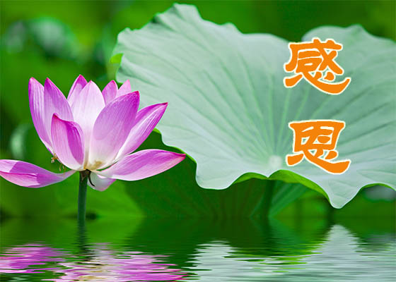 人生经过历练开出美丽的花朵。（图片来源：pixabay）