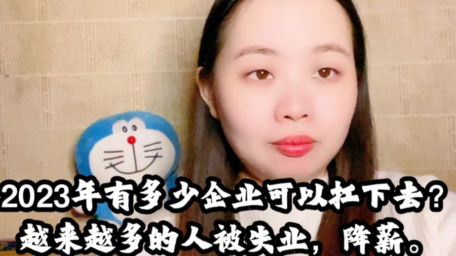 2023年企业倒闭降薪潮大陆网站有许多现身说法(图源:B站视频截图)