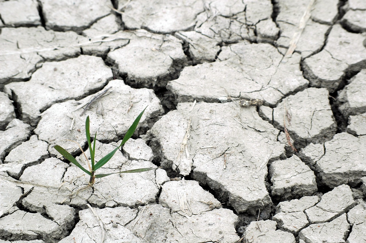 中国大陆多地高温干旱。(图片来源:pixabay)